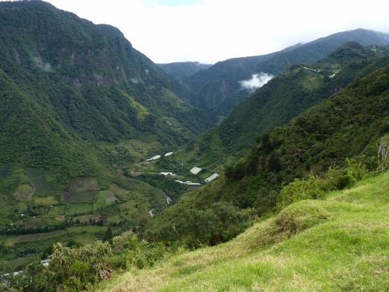 Banos Tal