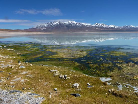 Laguna Blanca