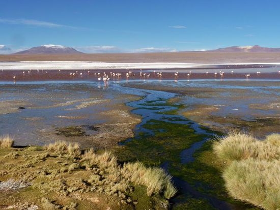 Laguna Colorada