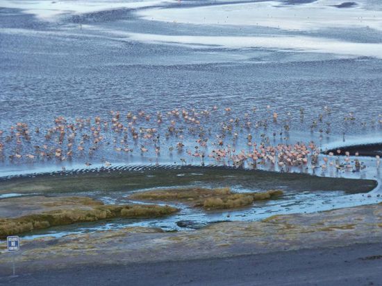 Laguna Colorada
