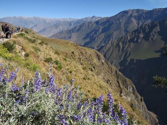 Condor Aussichtspunkt