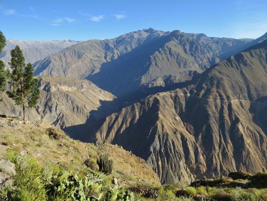 Colca Canyon