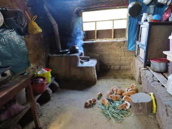 Hier läuft das Mittagessen noch in der Küche herum 