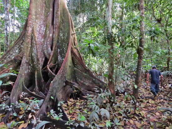 Wie in Liebling ich habe die Kinder geschrumpft 