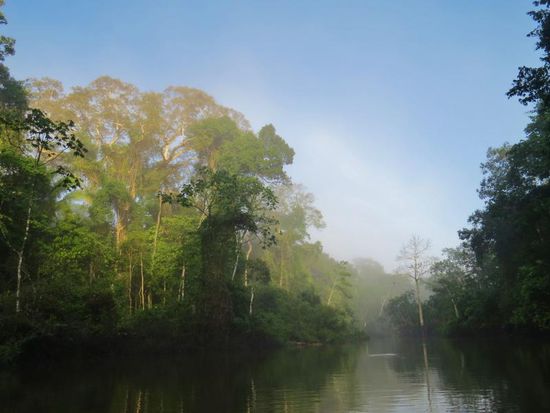 Morgens auf dem Wasser