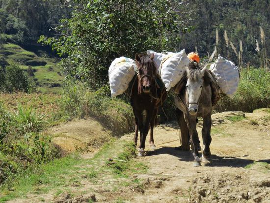 .. auch hier wird gearbeitet 