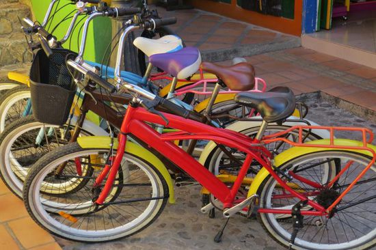 Auch die Bikes sind bund