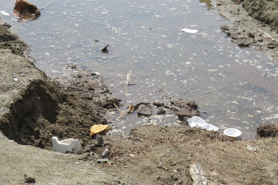 ich will da net schwimmen 