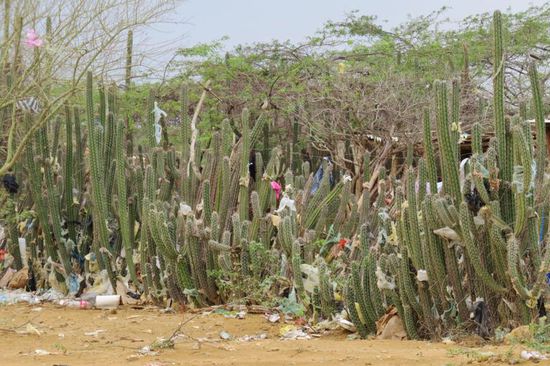 Überfall wo hier Menschen leben, zeigt sich das gleiche Bild 