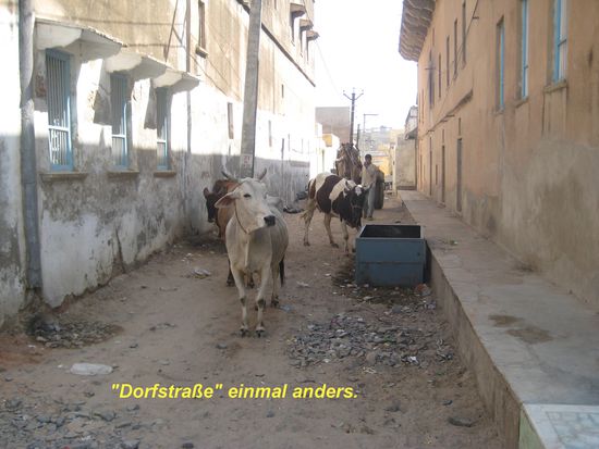 Hier einmal die andere Seite, für uns doch ein etwas seltsames
Bild...