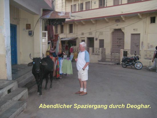 Der kleine Ort Deoghar ist auffallend sauber, nette Geschäfte,
natürlich auch Kühe, aber die gehören eh dazu!