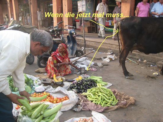 Was auf dem Foto beschrieben ist, sowas passiert nicht. Dass eine Kuh die ausgestellten Waren nimmt, kommt nicht vor.
So sagt jedenfalls unser Reiseleiter Deebak.