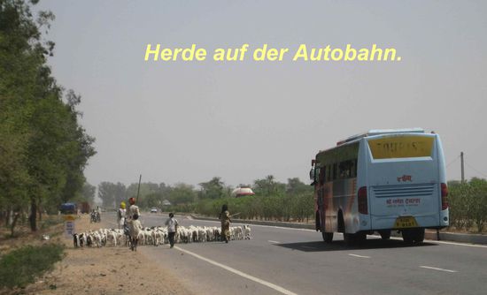 Mit solchen Gegebenheiten muss man immer rechnen. Auch dass bei Linksverkehr rechts und linls überholt wird, ist völlig normal.