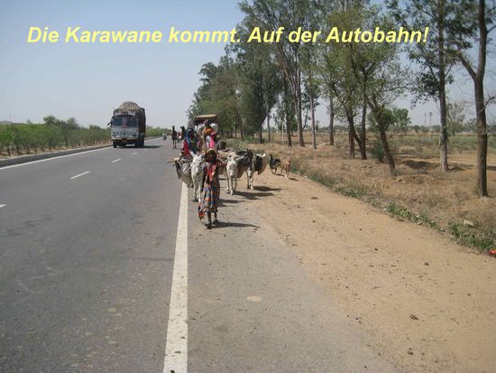 "Die Karawane zieht weiter..." so sangen die "Höhner". Hier ist das alles live! Diese Nomaden haben all ihre Besitztümer stets dabei.