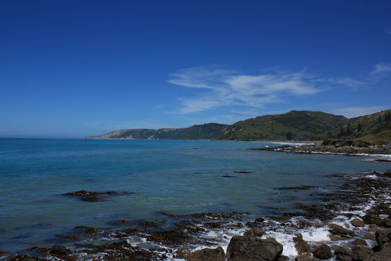 Auf dem Weg nach Kaikoura