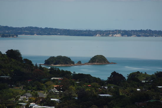 Aussichtspunkt auf der Insel Waiheke