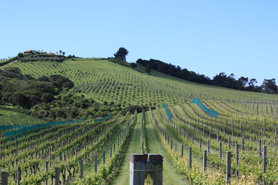 wunderschönes Weingut