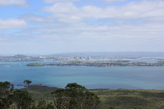 Blick zurück auf Auckland