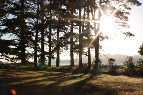 Morgensonne in Ahipara auf unserem Holiday Park
