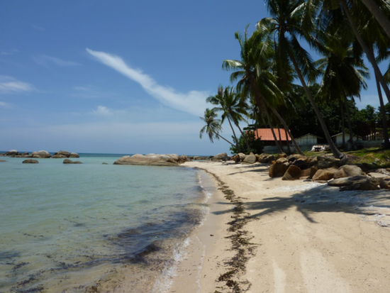 Paradiesisch ...