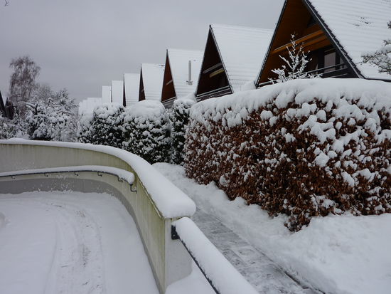 wer träumt da nicht von den Tropen? 