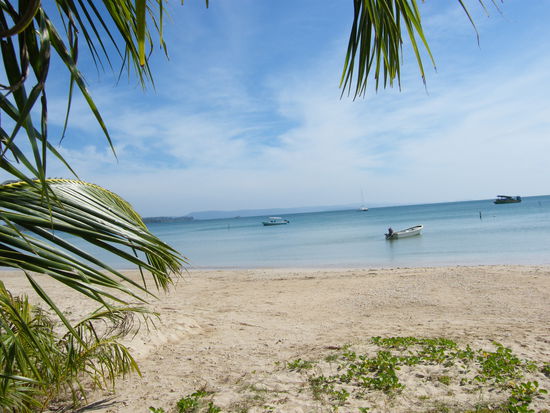 ist das schoen .... oder nicht....