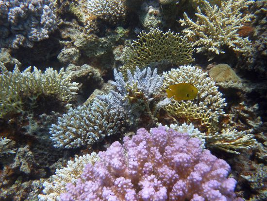 einfach mal in die Landschaft gehalten