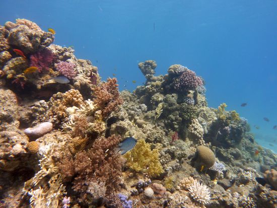 Landschaft, einfach so .....