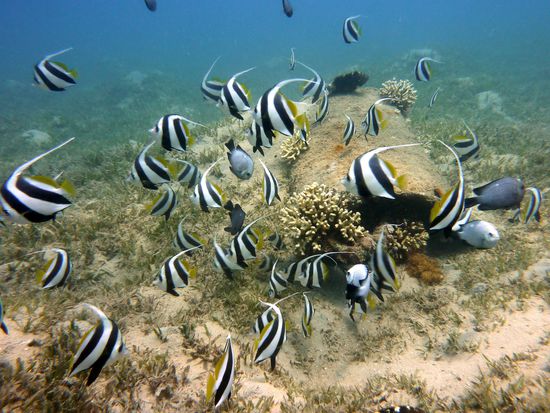 wie im Aquarium ... part 1 