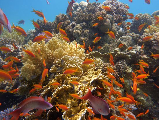 im Aquarium part 2 ....