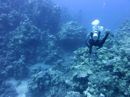 Drop Off .... einfach geil ....