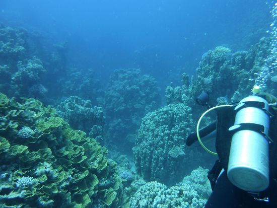 Der Abflug in den Canyon ....