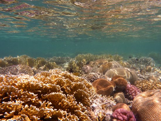 beim austauchen .... was für ein Anblick ...