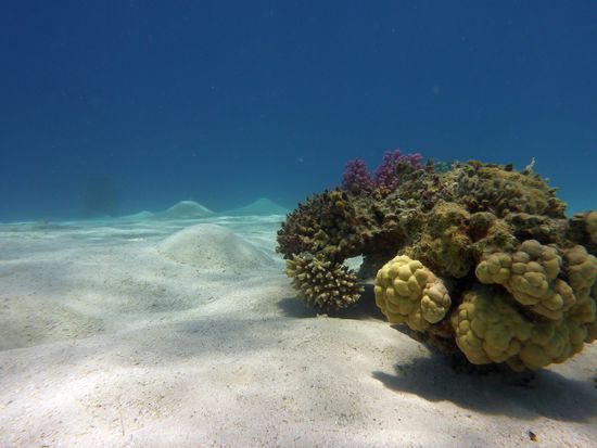 Landschaft mit Pyramiden ... grins.....