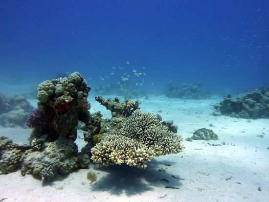 Landschaft ohne Pyramiden ...