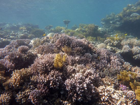 einfach Landschaft....