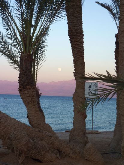 Der Mond geht auf ... glech geht`s los ....