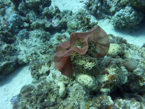 das wird mal eine spanische Tänzerin ....