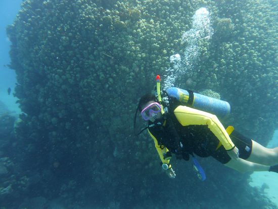 die Fotografin .....