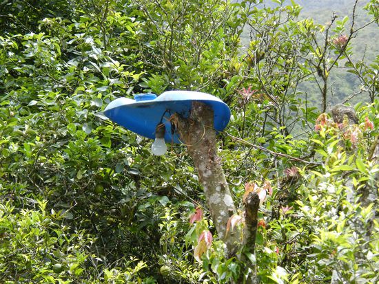 Strassenbeleuchtung ...kuckt genau hin ....