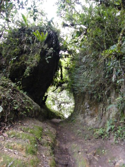 man sieht nicht, wie steil das ist... stimmts ???