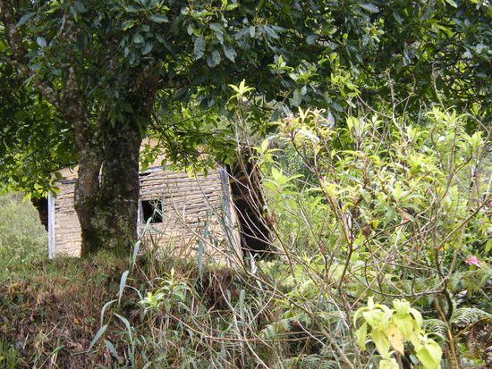 Einfamilienhaus ....