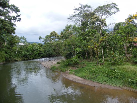 So sieht es da in dem Park aus ...