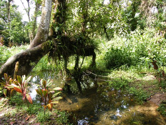 kurz vor dem Park ...