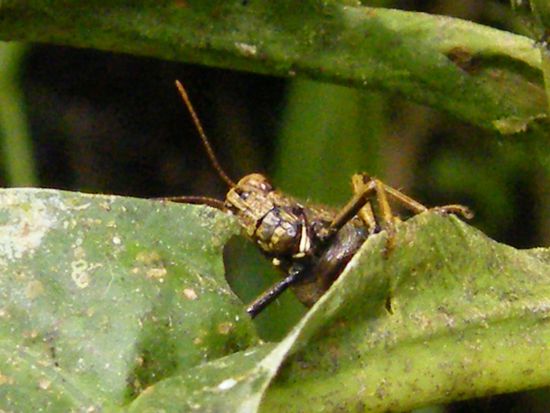 ach ... da war doch noch was ....