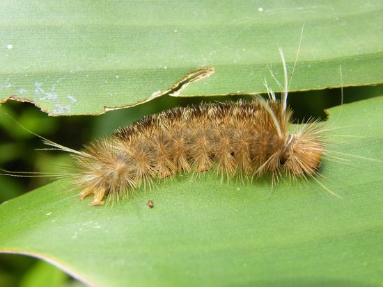 und schon wieder eine ....