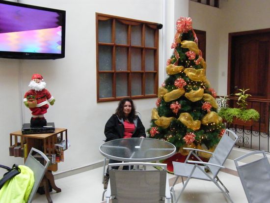 die Weihnachtsfrau ....