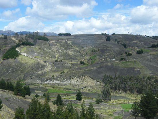 auf der Fahrt nach Ingapirca ...