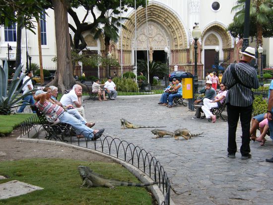 da ... schon wieder Viecher ....