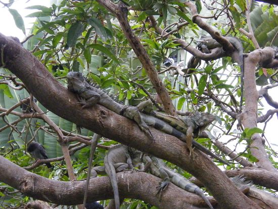 einfach nur abhängen ....
